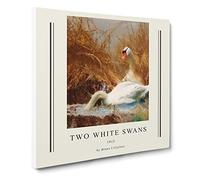 Two White Swans By Bruno Liljefors Exhibition Museum Classic Painting Canvas Wall Art Print Ready to Hang, Framed Picture for Living Room Bedroom Home Office Décor, 20x20 Inch (50x50 cm)