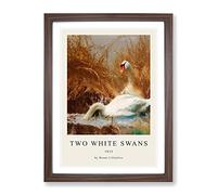 Two White Swans By Bruno Liljefors Exhibition Museum Painting Framed Print | A4 Walnut Framed Wall Art | Ready to Hang | Modern Animal Picture | Living Room Bedroom Lounge Office