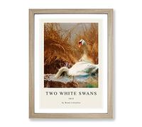 Two White Swans By Bruno Liljefors Exhibition Museum Painting Framed Wall Art Print, Ready to Hang Picture for Living Room Bedroom Home Office Décor, Oak A3 (34 x 46 cm)