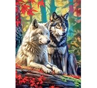 Two Wolves in A Magical Forest 500 Pieces Set Classic Jigsaw Puzzle Wildlife Pet Teen Fans 14-18 Yrs Logic Skill Leisure Adventure Valentines Gift Eco-friendly Recycled Cardboard 500 PCS
