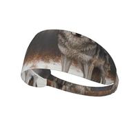 Two Wolves in The Snow Sports Head Tie for Men and Women-Headband Karate Tie Back Sweat Wicking Workout Head Band,Perfect for Running