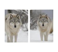 Two Wolves Walking in The Snow Passport Holder, ID Card Protector Case Passport Holder with Slot Passports Travel Wallet Document Cover for Women And Men