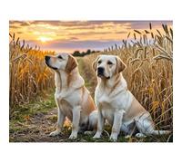 Two Yellow Labradors Diamond Painting DIY Kits 5D Diamond Art Full Round Drill Rhinestone Crystal by Number Stitch Embroidery Arts and Crafts for Living Room Bedroom Home Wall Decor 12x16 inch