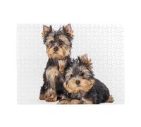 Two Yorkshire Terrier Puppies,500 Pieces Puzzles for Adults-Wooden Jigsaw Puzzle for Adults Elderly