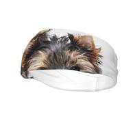 Two Yorkshire Terrier PuppiesHair Bands for Men Woman Headband Running Headband Sweat Wicking Gym
