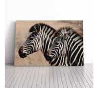 Two Zebras Facing Left Canvas Print | Gallery Wrapped 30mm Frame Wall Art | 20x14 inches | Ready to Hang | Modern Animal Picture | Living Room Bedroom Lounge Office