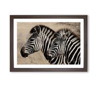 Two Zebras Facing Left Framed Print | A2 Walnut Framed Wall Art | Ready to Hang | Modern Animal Picture | Living Room Bedroom Lounge Office