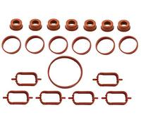 Twowinds Intake Manifold Gasket Set E90 E92 E60 E83 E53 (20 pieces)