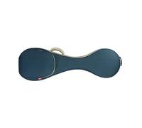 TWTCZOZ Pipa Bag for Chinese, Including Large Bag, Oxford Storage Bag And Thick Cover, Blue