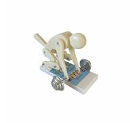 TWTCZOZ Spine Lifting Body Mechanics Demonstrator Model Posture Alignment Education Tool Model Back Structure Learning Model with suitable for gym instruction classroom teaching, Cream White