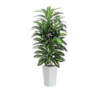 TXABL 5FT Artificial Dracaena Plants, Tall Tropical Fake Plant with White Tall Planter, 150cm Large Faux Artificial Yucca Tree in Pot for Indoor Outdoor Home Living Room Office Modern Decor