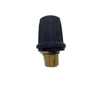TXLDZSWO Brass Safety Valve ,Compatible for KARCHER, Steam Cleaner SC Accessories SC1 SC2 CTK10 SC1020 SC4 SC5 SG4-4 4.590-105.0 Home Appliance Parts(Sg4-4)
