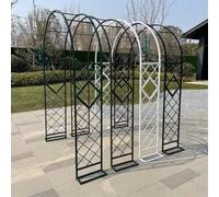 ty Metal Arch with Powder CoatingArched Support for Climbing Plants & Flowers Perfect for Terraces Courtyards and Wedding Decorations