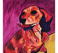 Ty Segall - Fanny [7" VINYL]