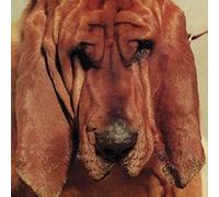 Ty Segall – Goodbye Bread – Vinyl