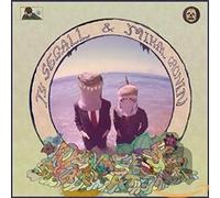 Ty Segall & Mikal Cronin - Reverse Shark Attack