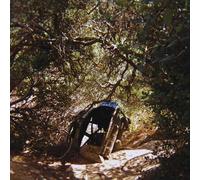 Ty Segall - Possession