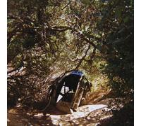 Ty Segall - Possession [VINYL]