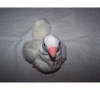 TY Serenity the Dove Beanie Baby