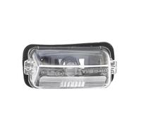 TYC 15-0515-00-2 License Plate Light on Both Sides