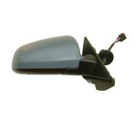 TYC 302-0028 Wing mirror