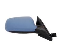 TYC 302-0060 Wing mirror