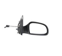 TYC 305-0029 Wing mirror