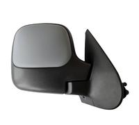 TYC 305-0111 Wing mirror