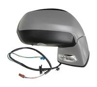 TYC 305-0124 Wing mirror