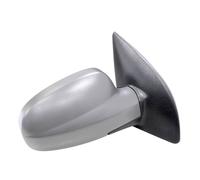 TYC 306-0010 Wing mirror