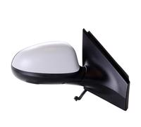 TYC 309-0099 Wing mirror