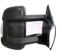 TYC 309-0158 Wing mirror