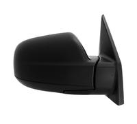 TYC 313-0059 Wing mirror
