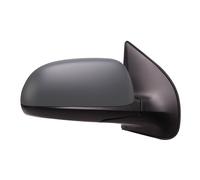 TYC 313-0089 Wing mirror