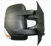 TYC 325-0169 Wing mirror