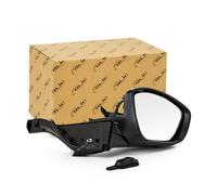 TYC 326-0113 Wing mirror