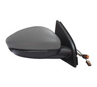 TYC 326-0161 Wing mirror