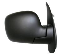 TYC 328-0249 Wing mirror