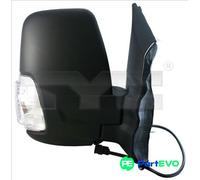 TYC 310-0237 Wing mirror