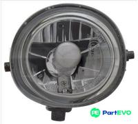 TYC 19-6089-11-9 Fog Light