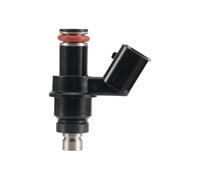 TYchDK 250CC Motorcycle oil line Injector BT-B Spray Nozzle Ten Hole Length 43.6mm Fit for Motorbike Part Replacement Accessory