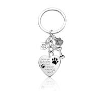 TYGFRT 1 Piece Memorial Keychain - Goodbye & Lost Pet Paw Print Keychain, Personalized Gift (Silver)