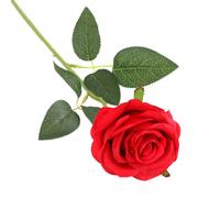 TYGFRT 1 Red Rose, Artificial Rose Flower, Artificial Rose with Stem, Artificial Plant, Desktop Ornament, Wedding Home Office Garden Decoration