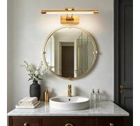 TYhogar 40CM Gold Picture Lights for Wall Stepless Dimming Bath Mirror Light - 3 Color Temperatures & Swivel Head for Makeup Vanity, Picture Frame Lighting 10W