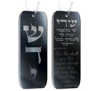 TYLDUM Mezuzah for Car, Handmade with Scroll, Hanging Rearview Mirror Jewish Gift, Double-Sided Engraved Car Mezuzah Case with Parchment Paper Tefilat Haderech, Judaica Gifts (1, Glossy Black)