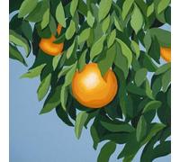 TYLER BALLGAME - FOR THE FIRST TIME AGAIN - Vinyl Record VL - 11 - D3447z