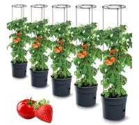 Tymar Tomato Plant Pot with Trellis Range and Water Reservoir, Balcony Container (Pack of 5, Diameter 30 cm)