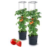 Tymar Tomato Pot, Tomato Pot, Tomato Plant, Tomato Balcony, with Trellis Range, with Water Reservoir (Pack of 2, Diameter 40 cm)