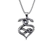 TYMONT Gothic Double Snake Wrap Necklace Pendant, Vintage Religious Snake Stainless Steel Sweater Necklace, Hip Hop Punk Jewelry