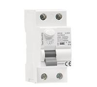 Type A RCD Electromagnetic Residual Current Circuit Breaker AC ELCB 2 Pole 40A 63A 30mA 100mA 300mA RCCB 1Pcs(2P 63A,100mA)